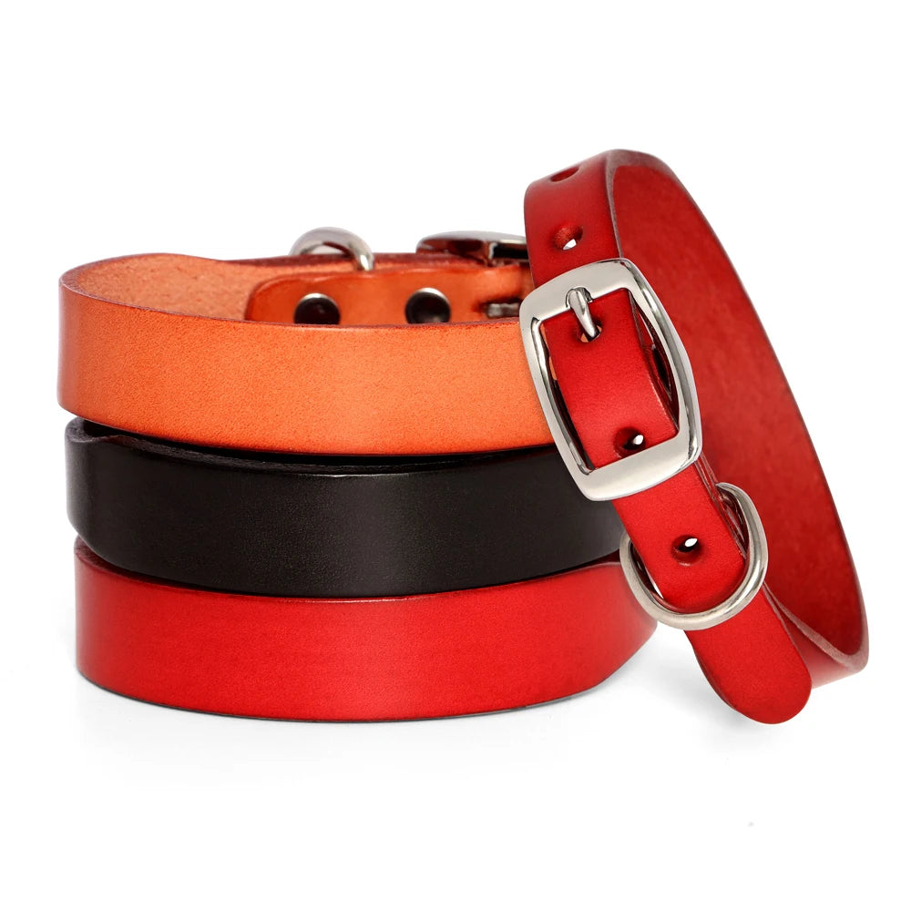 Jupiter Genuine Leather Dog Collar