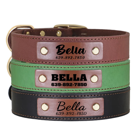 Apollo Personalised Genuine Leather Dog Collar