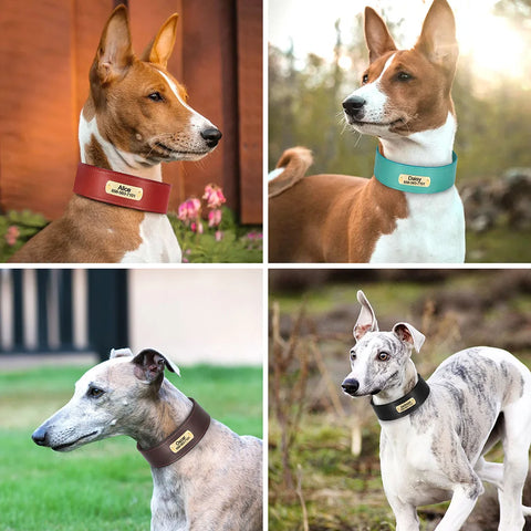 Nix Wide Personalised Dog Collar Genuine Leather