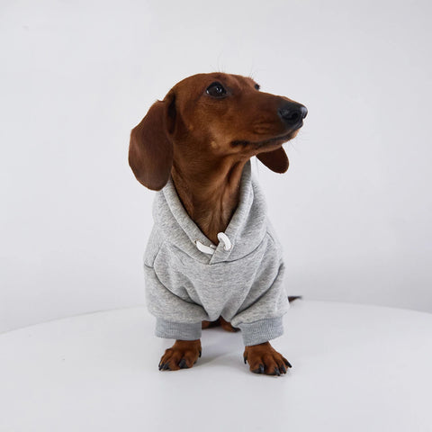 Fleece Hoodie for Dachshunds & Small Dogs