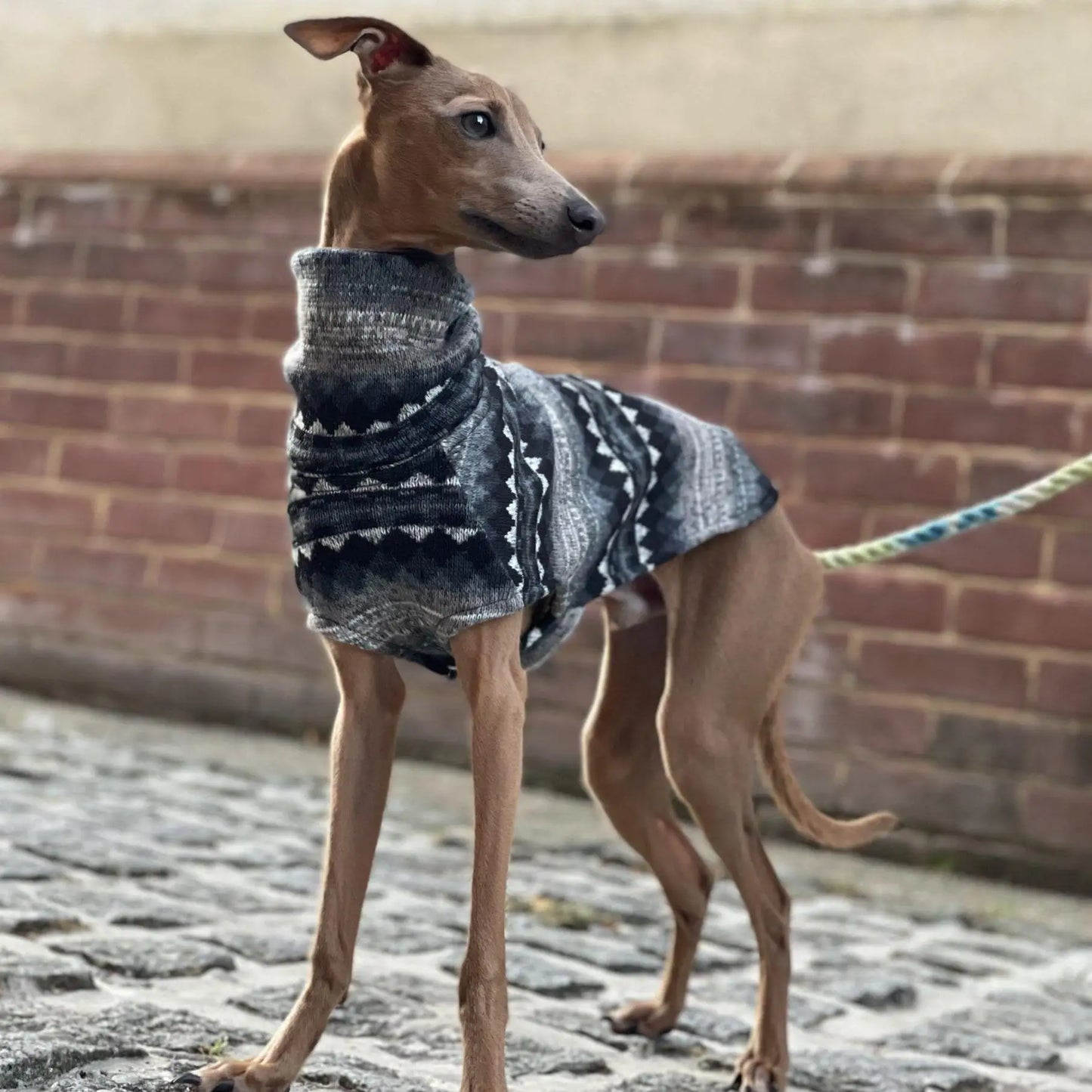 Winter Fleece Turtleneck Dog Coat for Sighthounds
