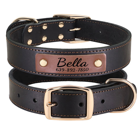 Apollo Personalised Genuine Leather Dog Collar