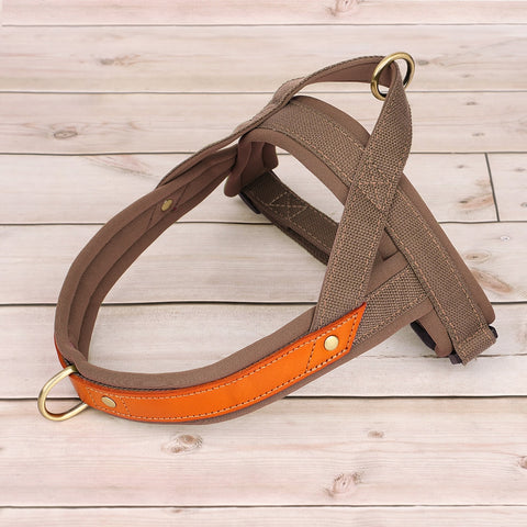 TailWag Freedom Dog Harness No Pull Soft Padded