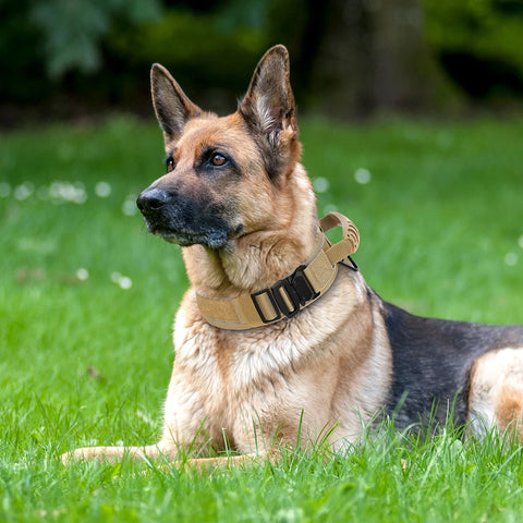 Wide Tactical Dog Collar With Handle For Medium & Large Dogs