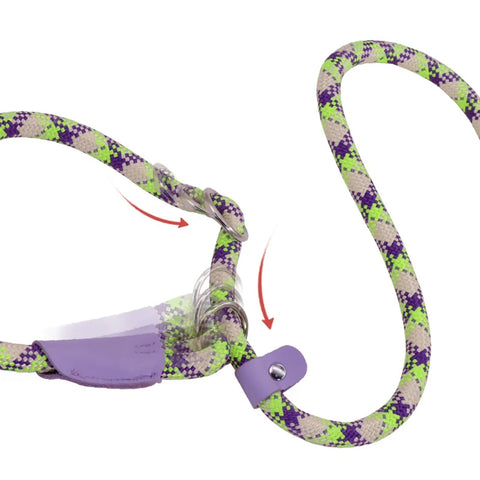 Reflective Training Slip Lead