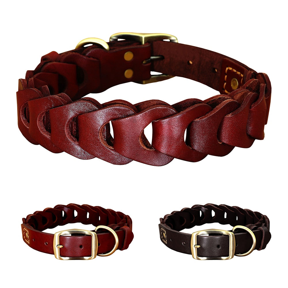 Phoenix Genuine Leather Chain Collar For Medium & Large Dogs Dog Nation