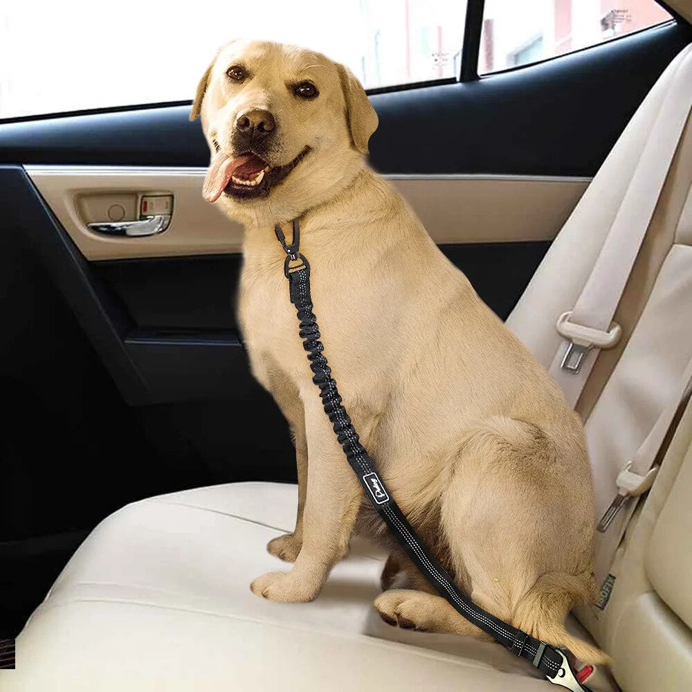 Dog seat clearance belt supercheap auto