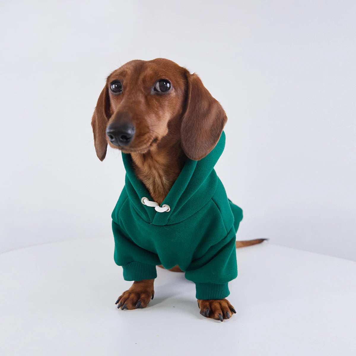 Fleece Hoodie for Dachshunds & Small Dogs