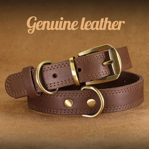 Majestic Genuine Leather Dog Collar