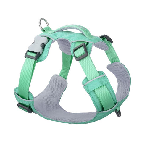 Sport Harness with Handle Red Dingo