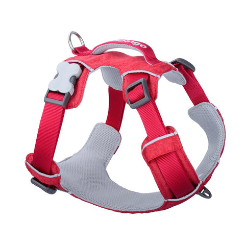 Sport Harness with Handle Red Dingo