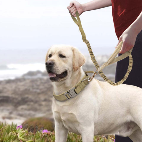 Tactical Training Dog Leash for Medium Large Dogs