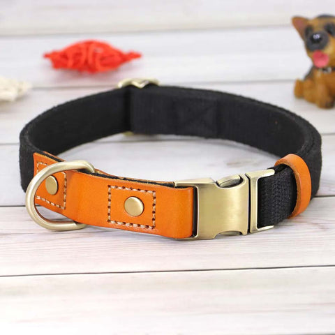 TailWag Freedom Dog Collar Nylon Leather