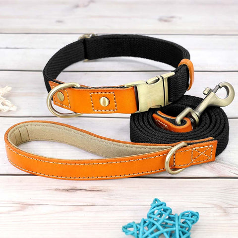TailWag Freedom Dog Collar Leash Set Nylon Leather