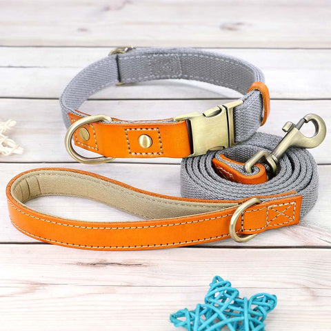 TailWag Freedom Dog Collar Leash Set Nylon Leather