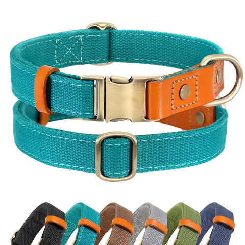 TailWag Freedom Dog Collar Nylon Leather