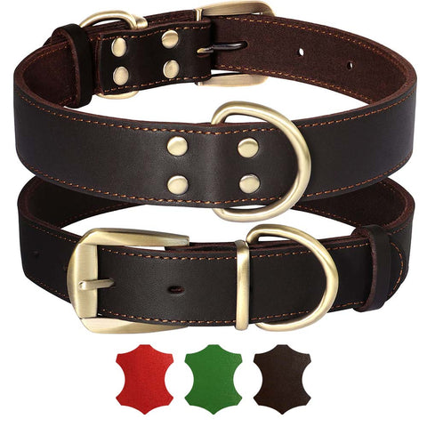 Taurus Genuine Leather Dog Collar For Medium & Large Dogs Dog Nation
