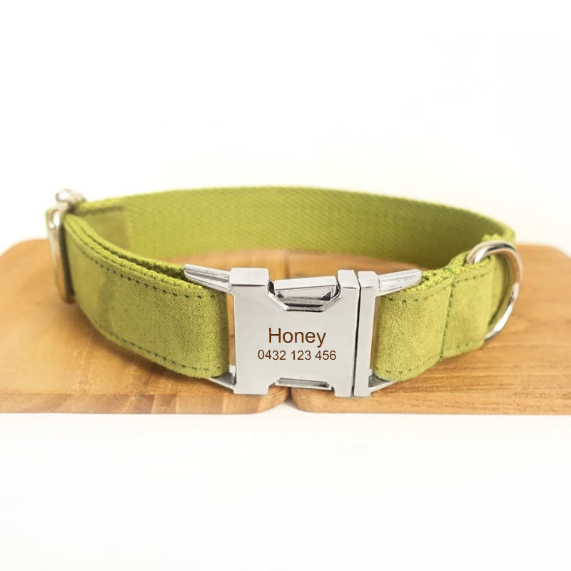 Comet Leather Dog Collar Neoprene Padded