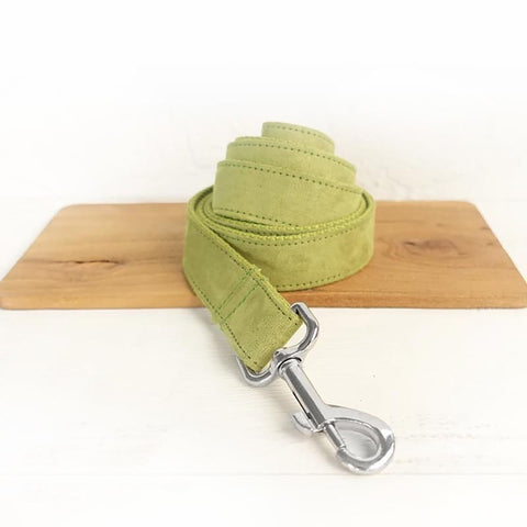 The Candy Green Dog Leash