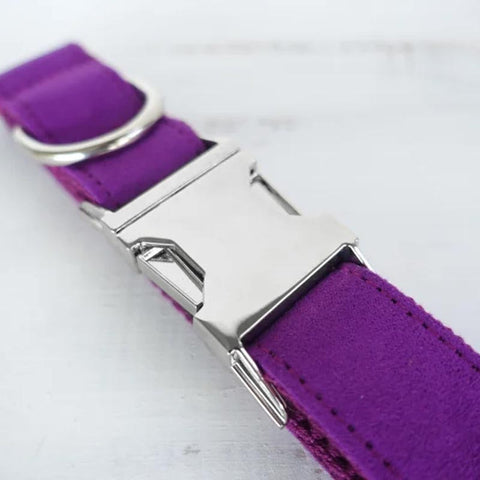 The Candy Purple Personalised Dog Collar