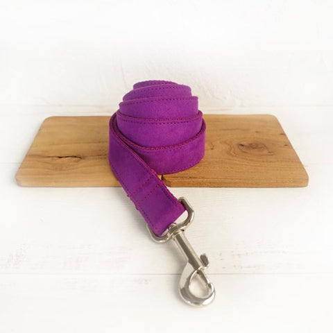 The Candy Purple Dog Leash