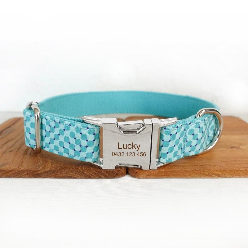 Comet Leather Dog Collar Neoprene Padded