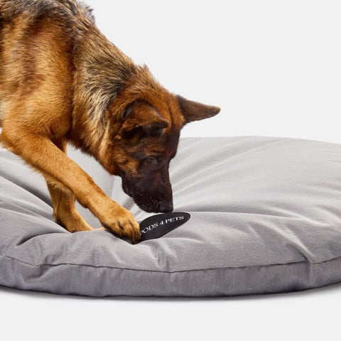 Tuff Canvas Machine Washable Dog Bed