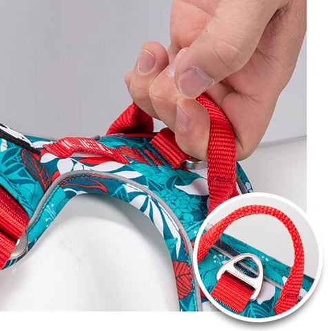Adventurer No Pull Dog Harness Special Edition