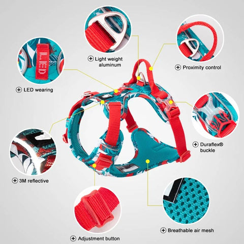 Adventurer No Pull Dog Harness Special Edition
