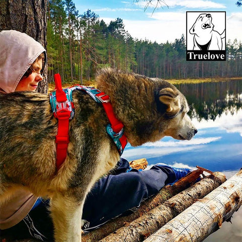 Adventurer No Pull Dog Harness Special Edition