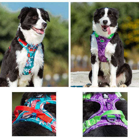 Adventurer No Pull Dog Harness Special Edition