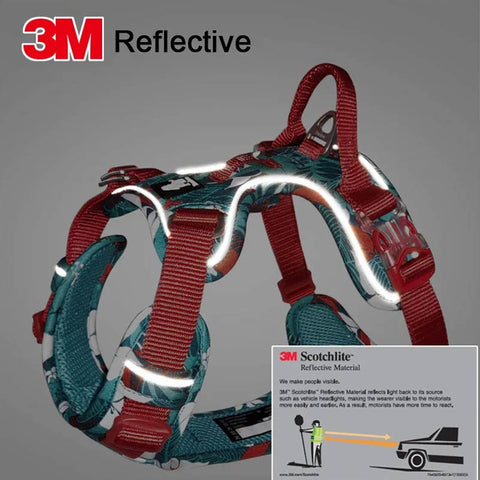 Adventurer No Pull Dog Harness Special Edition