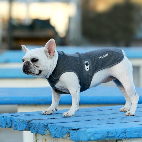 Antibacterial Dog Winter Coat Dog Nation