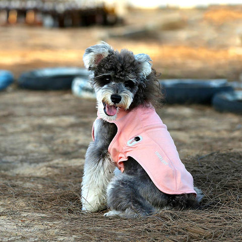 Antibacterial Dog Winter Coat Dog Nation