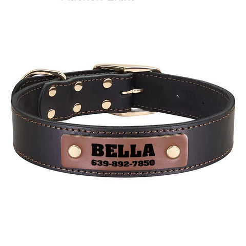 Apollo Personalised Genuine Leather Dog Collar
