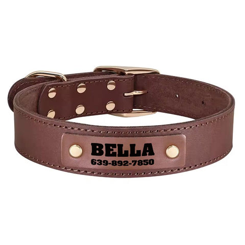 Apollo Personalised Genuine Leather Dog Collar