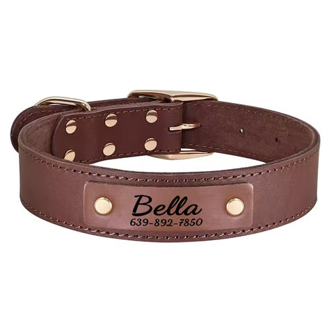 Apollo Personalised Genuine Leather Dog Collar