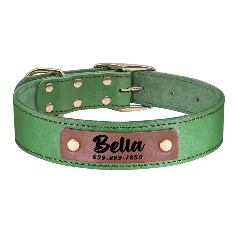 Apollo Personalised Genuine Leather Dog Collar