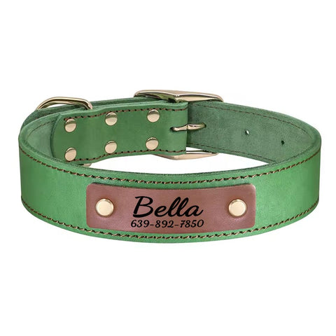Apollo Personalised Genuine Leather Dog Collar