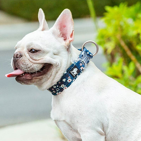 Stylish Floral Dog Collar Soft Padded