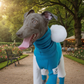 Ribbed Turtleneck Onesie for Greyhounds & Whippets - Lifestyle 4