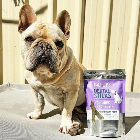 Bell & Bone Dog Dental Sticks Kangaroo, Mint & Turmeric
