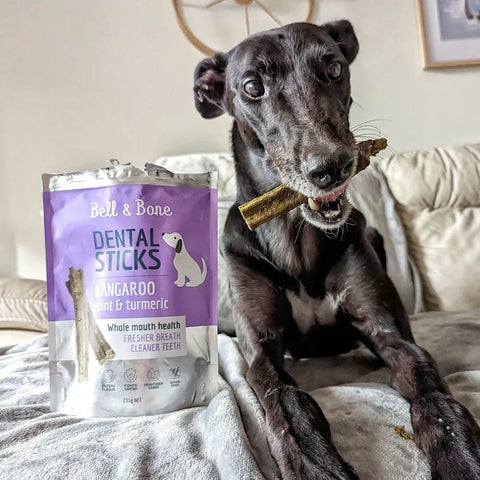Bell & Bone Dog Dental Sticks Kangaroo, Mint & Turmeric