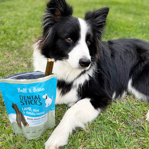 Bell & Bone Dog Dental Sticks Lamb Mint & Manuka Honey