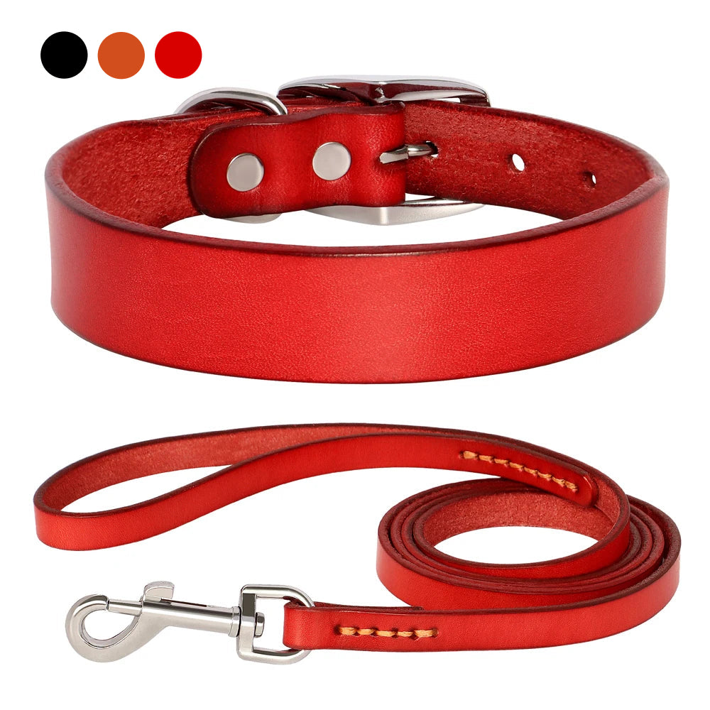 Jupiter Genuine Leather Dog Collar & Leash Set