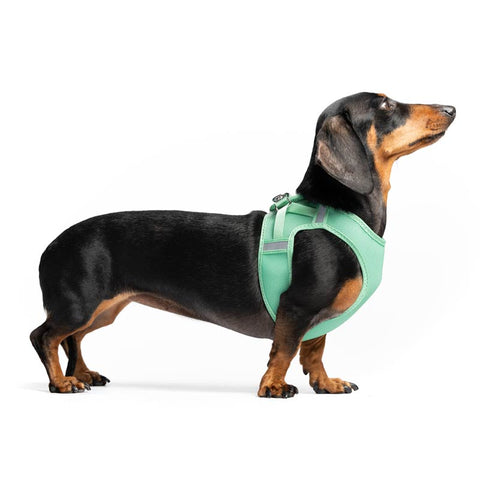 Mesh Dog Harness Step-In Red Dingo
