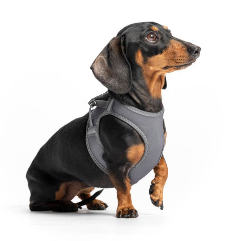 Mesh Dog Harness Step-In Red Dingo