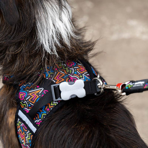 Mesh Dog Harness Step-In Red Dingo