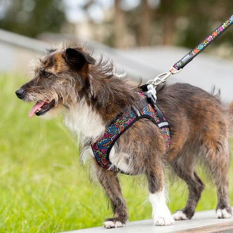 Mesh Dog Harness Step-In Red Dingo