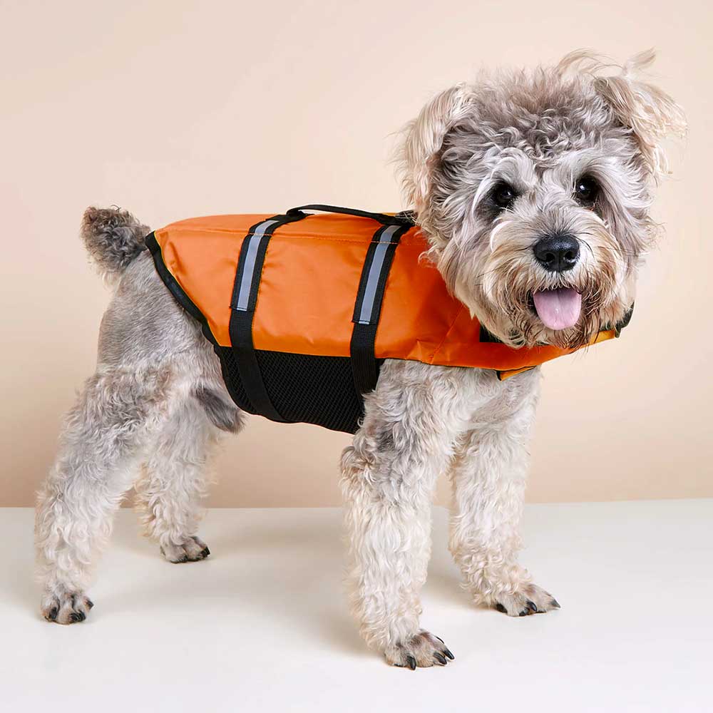 Orange vest for outlet dogs